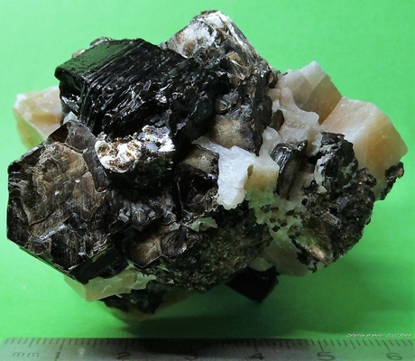 <a href="/photo-915550.html"><h1>Phlogopite</h1><h2>Betroka District, Anosy, Madagascar</h2><p class="clickhere">Click here to view photo page on mindat.org</p></a>