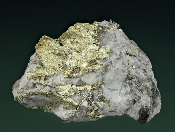 H2O faqat suv jinsiy qoshing